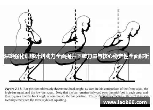 深蹲强化训练计划助力全面提升下肢力量与核心稳定性全面解析